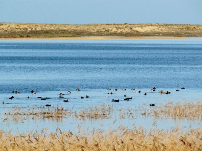La Gallega Valdoviño Kültér fotó